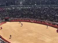 开云下载-阿雅克将上演主场大战，挑战尼姆