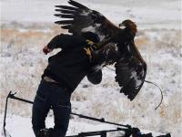 开云平台-老鹰遭逢76人的猛攻