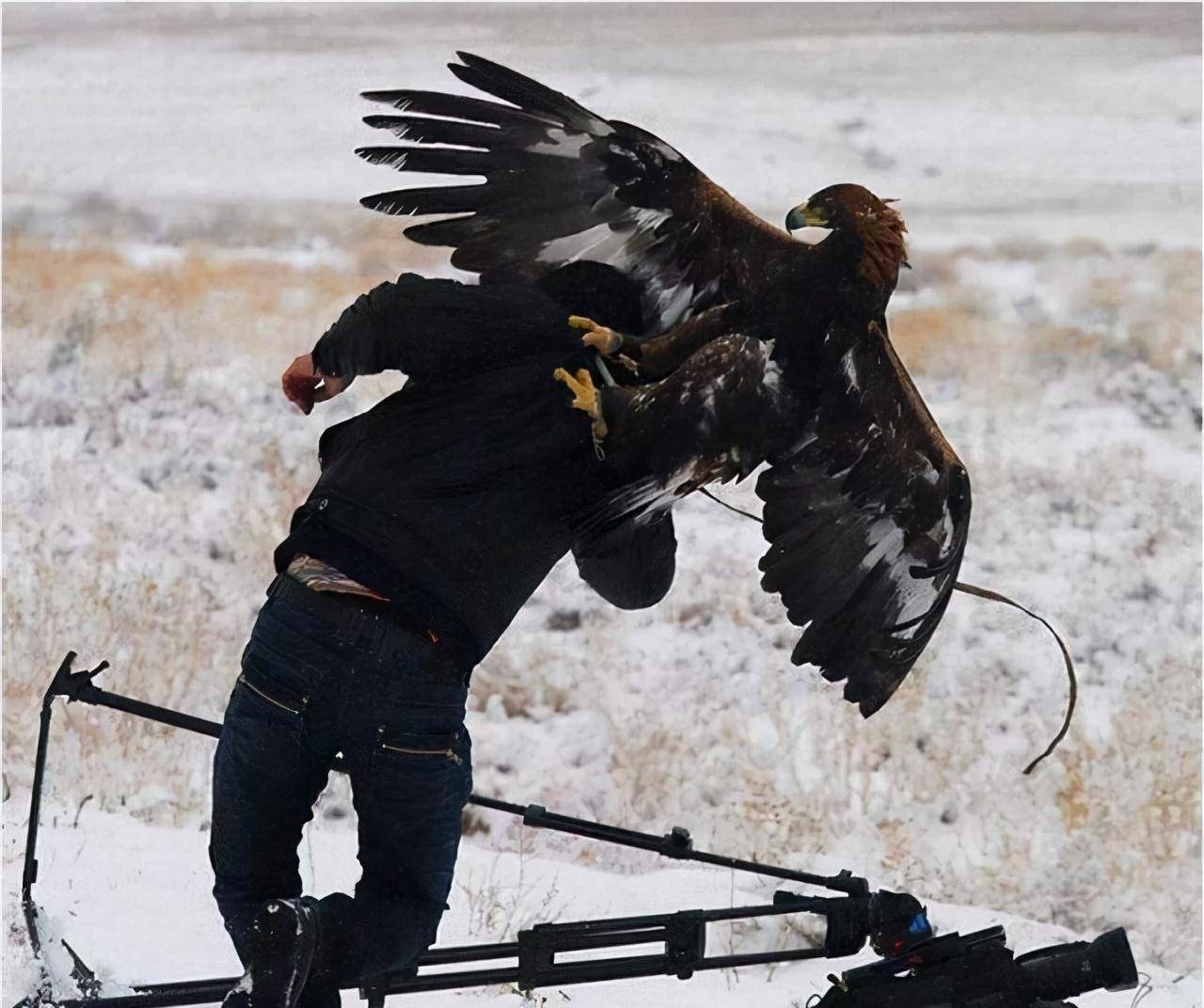 老鹰遭逢76人的猛攻